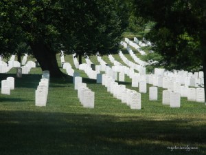 Arlingtonandoldpic 011