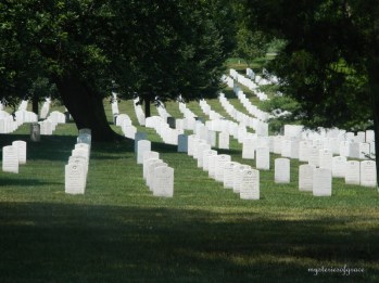 Arlingtonandoldpic 011