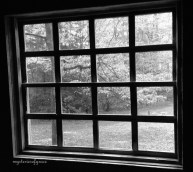 CellpixSeptOct2014 191