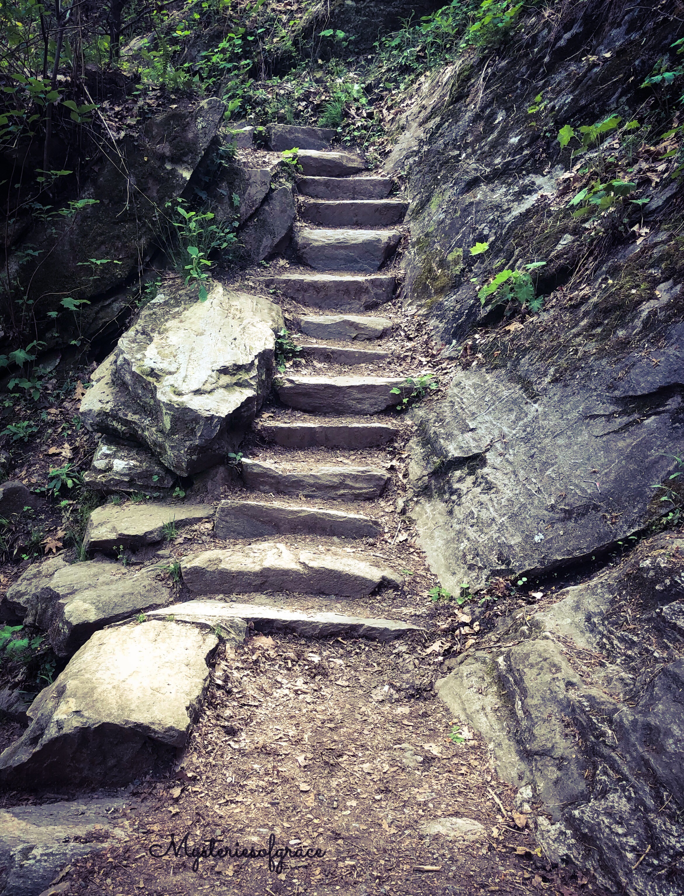 547275cc-c827-4d14-83e0-c081ec2a20a9