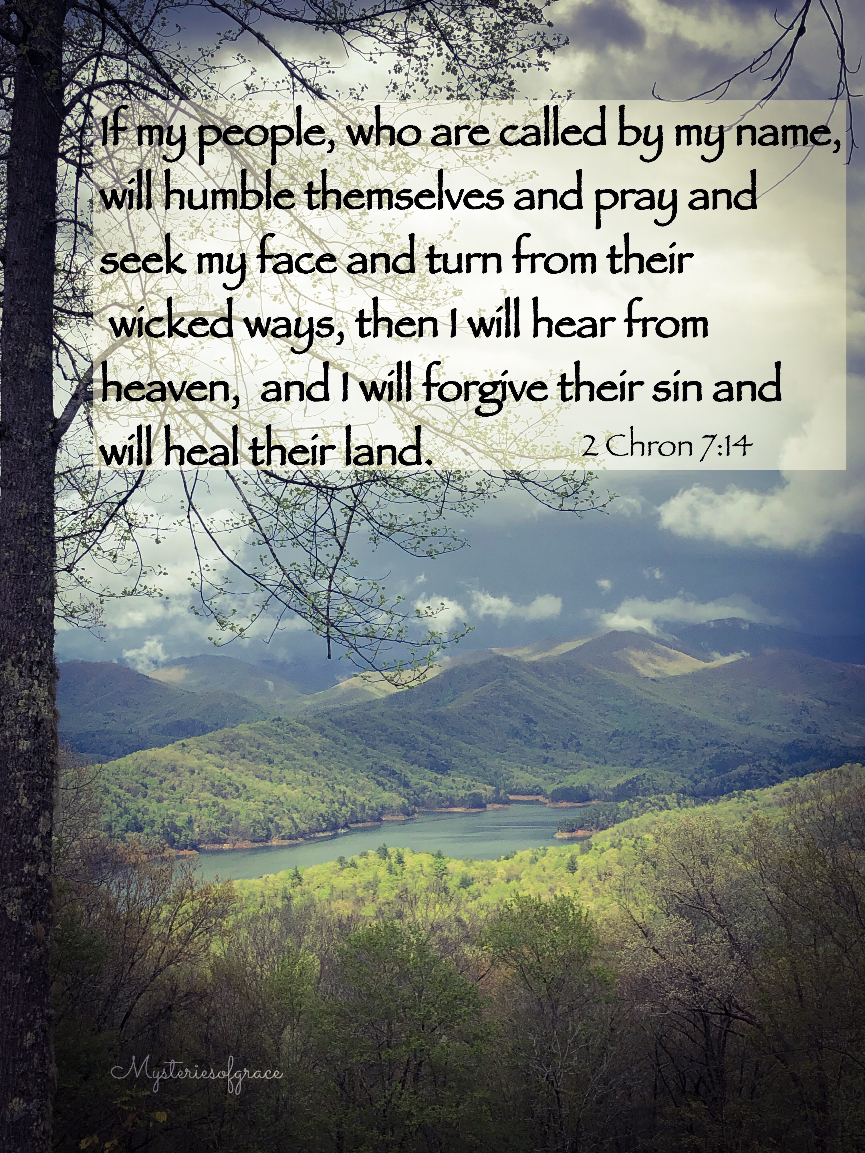 b5d10f36-f91d-4d3e-906d-b4d2cce03689