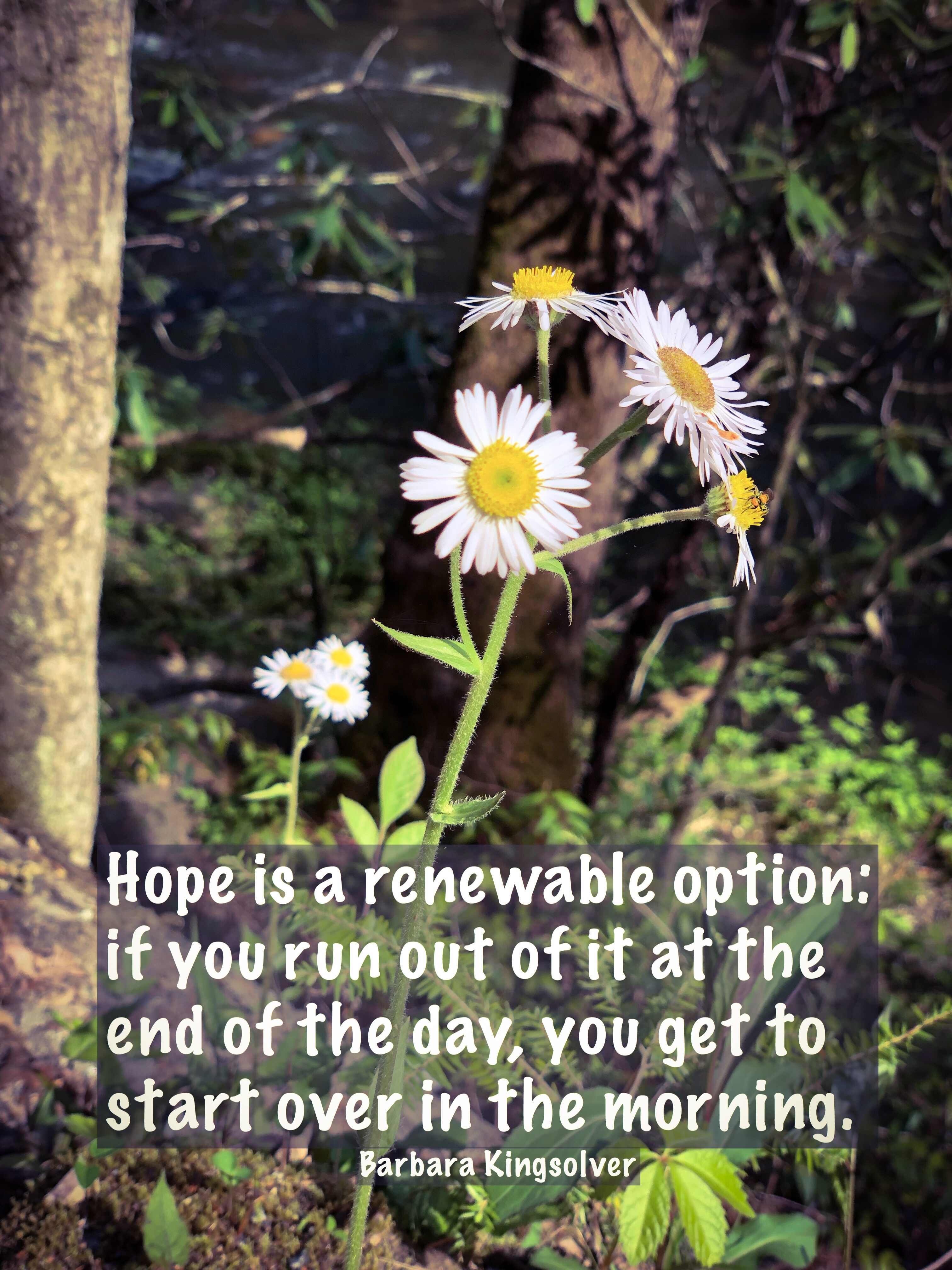 bd7936c9-c694-477f-a3b3-8c2473696a27