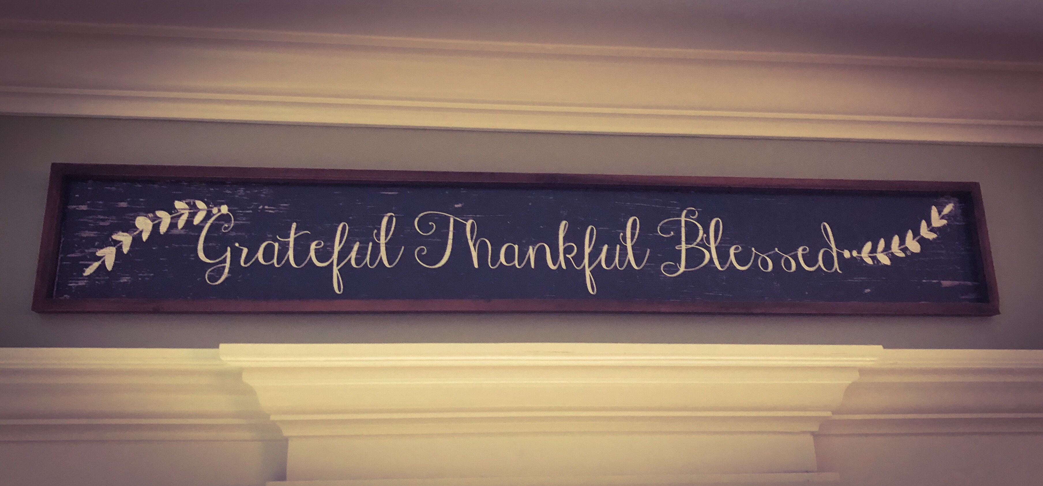 1a98afed-1ae6-46fa-902c-13c9257cac59