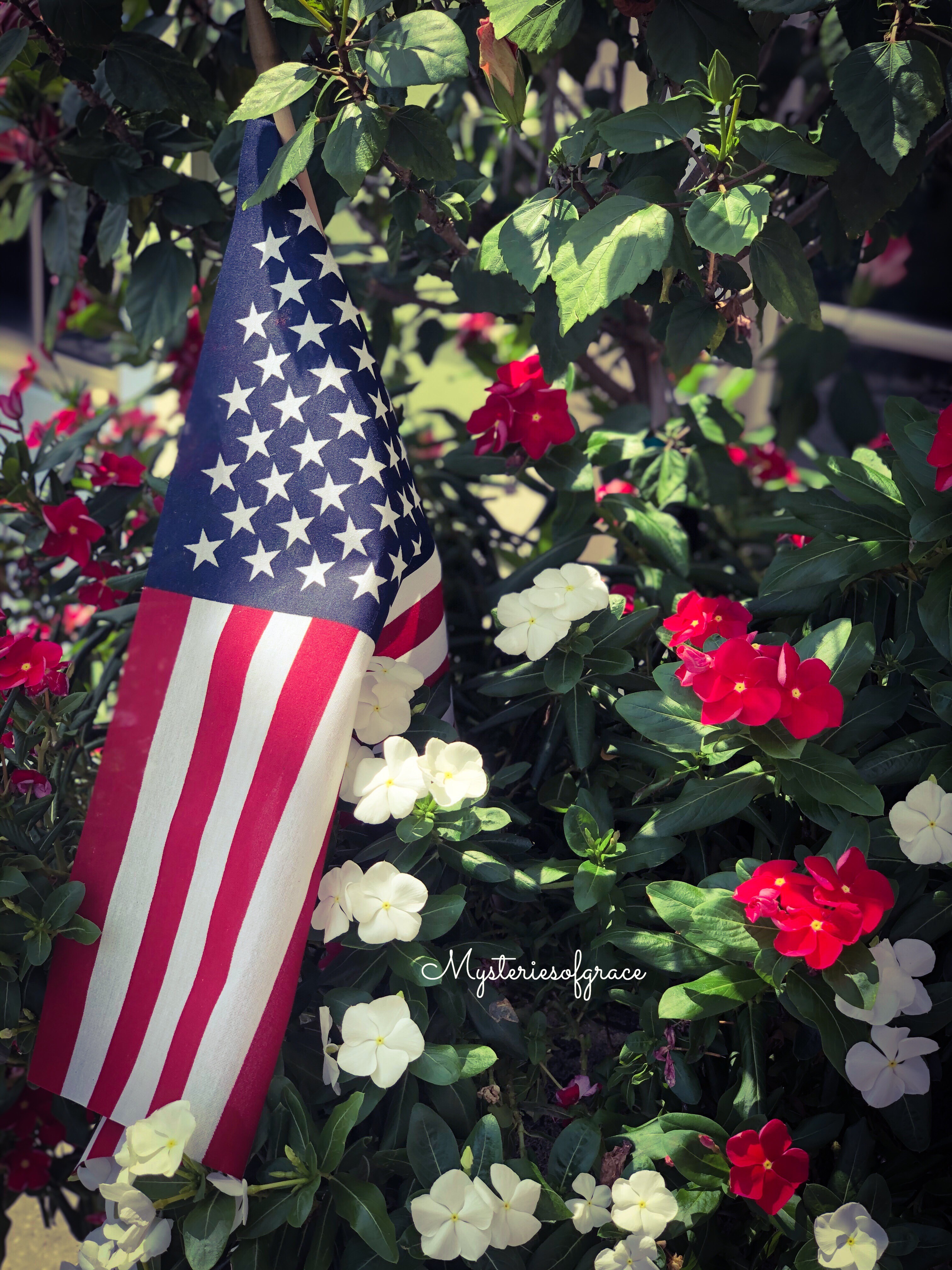 cb86c896-68cb-4ec8-ac6d-4cdcff778412